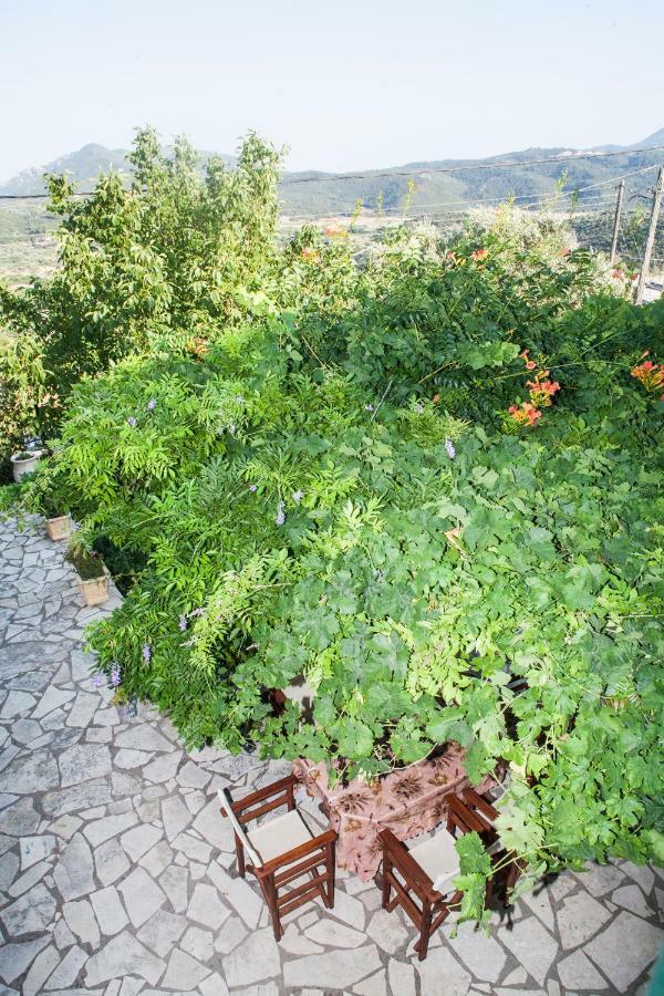 Villa Ilias Pinakokhorion Exteriör bild